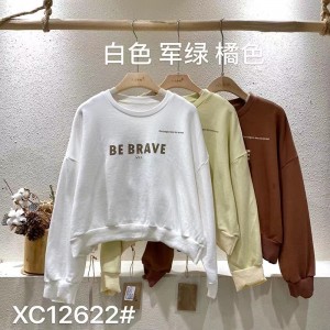 Lös inredning Minimalist Round Collar- stil Stinkad ärmstil Casual Solid Bomull och linne överdimensionerade 12622 Sweatshirts